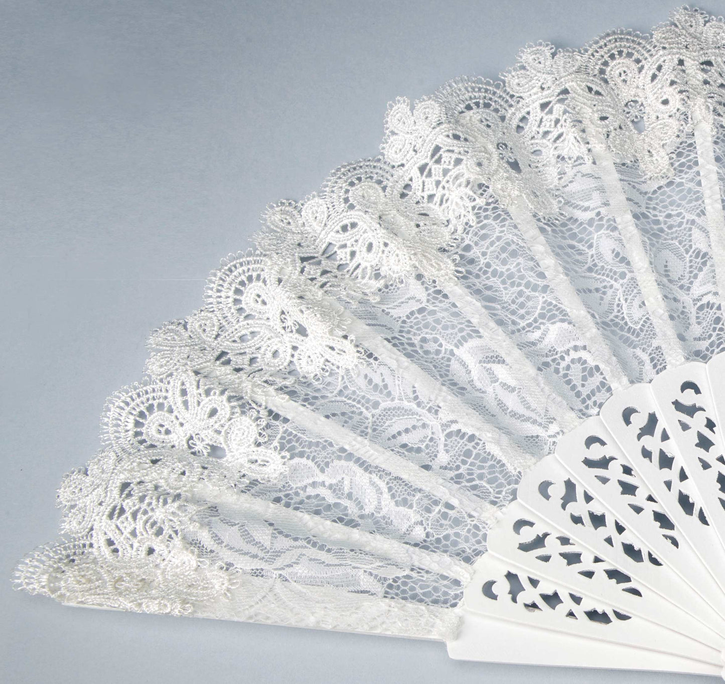 Spanish Lace Hand Fan